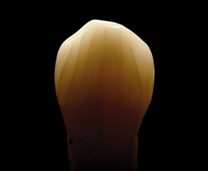 Formation GRF - GROUPE RAPHAËL FORMATION - Dentisterie esthétique